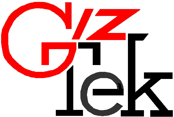 GizTek Ltd